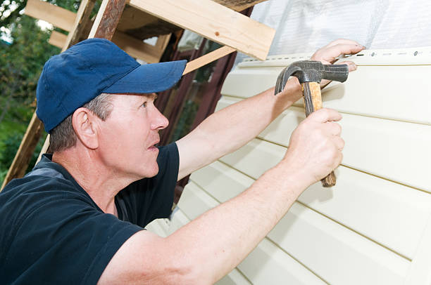 Best Custom Trim and Detailing for Siding  in Long Grove, IL