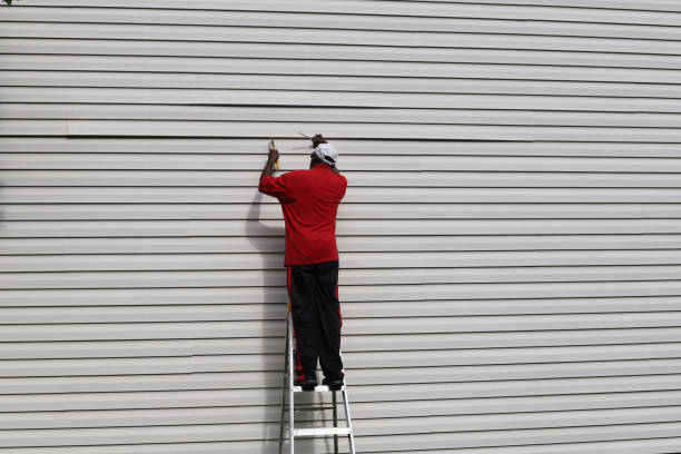 Best Siding Painting and Refinishing  in Long Grove, IL